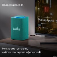 Яндекс Станция Макс (с хабом умного дома Zigbee, бирюзовый) Image #5