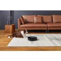 Xiaomi Robot Vacuum S10T STFCR01SZ (европейская версия, черный) Image #19