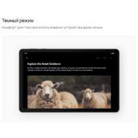 Huawei MatePad SE 10.4" AGS5-W09 4GB/128GB (графитовый черный) Image #4