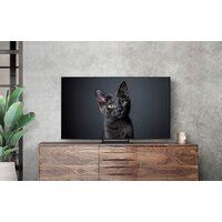 Samsung OLED 4K S90C QE65S90CAUXRU Image #8