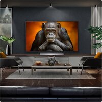 LG OLED evo AI G5 OLED48G56LS Image #9