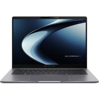 ASUS ExpertBook P3 PM3406CKA-LY0467 Win 11 Pro