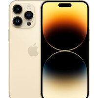 Apple iPhone 14 Pro Max 512GB (золотистый)