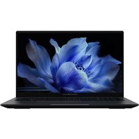 Maibenben P725 P7251SF0LGRE0 Win 11 Pro